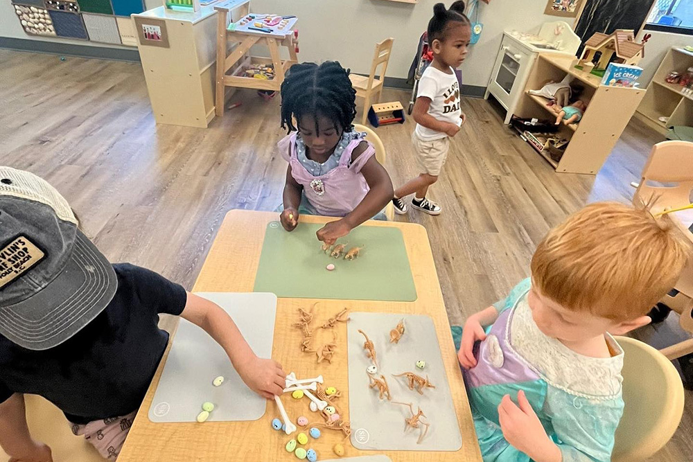 Reggio-Inspired Exploration, Encourages Wonder & Creativity